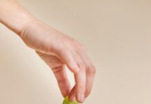 Green Street CBD Gummies: Discover The Ultimate Wellness Boost