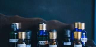 Herb Stores Near Me: Discover Hidden Gems for Natural Wellness