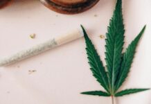 CBD Bile Duct Health Secrets: Unlock Natural Relief and Healing