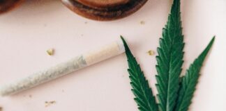 CBD Bile Duct Health Secrets: Unlock Natural Relief and Healing