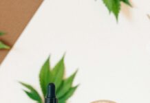 CBD Salve Benefits: How This Natural Remedy Can Soothe You