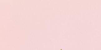 Buy Cbd Oil UK Blessedcbd Online: Discover Pure Benefits Today!