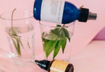 Is Hemp Oil The Same As CBD Oil? Discover The Key Differences