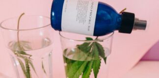 CBD Clinic Secrets: How They Transform Wellness Naturally