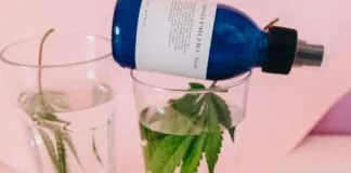 CBD Clinic Secrets: How They Transform Wellness Naturally