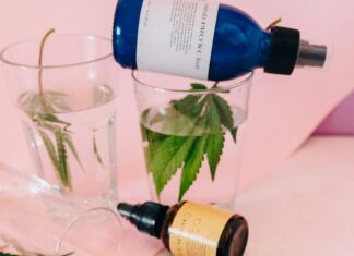 Hemp Oil Vs CBD: What’s The Real Difference You Need To Know?