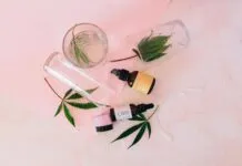 CBD Calming Chews For Dogs: Discover Powerful Natural Relief Today
