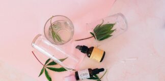 CBD Calming Chews For Dogs: Discover Powerful Natural Relief Today