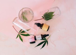 CBD Calming Chews For Dogs: Discover Powerful Natural Relief Today