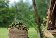 Herbs For Sleep: Discover Powerful Natural Remedies That Work