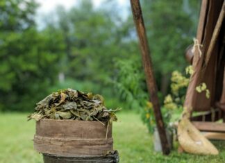 Herbs For Sleep: Discover Powerful Natural Remedies That Work