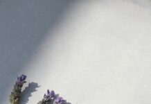 Herb Kohl Secrets: Unlock Natural Beauty With Ancient Herbal Power