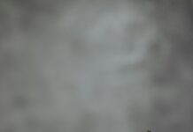 Is Cbd Legal In Norway? Discover The Truth Behind The Law