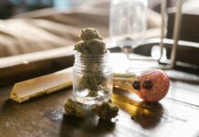 Cornbread CBD: Discover The Surprising Benefits And Uses Today