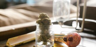 Cornbread CBD: Discover The Surprising Benefits And Uses Today Home