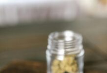 Green Dragon CBD: Discover Powerful Benefits and Surprising Uses
