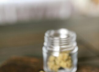 Green Dragon CBD: Discover Powerful Benefits and Surprising Uses