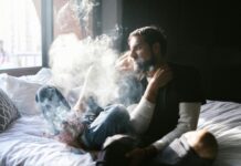 Tauranga CBD Secrets: Why Locals Are Falling In Love With It