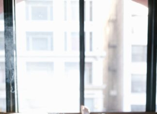 CBD Roll On: Discover Powerful Benefits for Instant Pain Relief