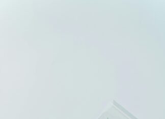 CBD Pouches: Discover The Ultimate Guide To Natural Wellness Benefits