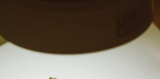 CBD Bud Benefits: Discover How It Transforms Wellness Naturally