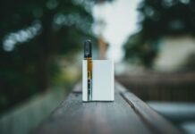 CBD Cartridge Benefits: Discover Why Everyone Is Talking About Them