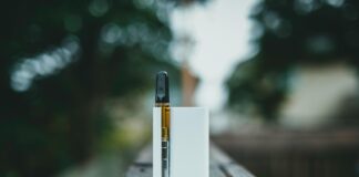CBD Vape Pen BlessedCBD Shop: Discover Why Everyone Is Talking About It