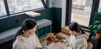 CBD Dog Treats: Discover Powerful Benefits Your Pet Will Love