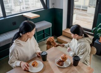 CBD Dog Treats: Discover Powerful Benefits Your Pet Will Love