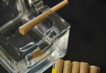 CBD Vs CBG: Which Powerful Cannabinoid Offers Better Benefits?