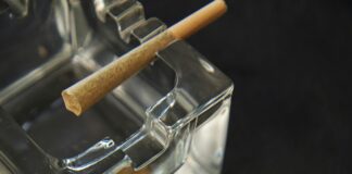 CBD Vs CBG: Which Powerful Cannabinoid Offers Better Benefits?