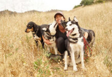 Enhancing Dogs Health and Comfort: Expert Guide for Pet Owners dog bed, dog beds, large dog beds, best dog beds, outdoor dog beds, orthopedic dog beds, chew proof dog bed, raised dog bed, cooling dog bed