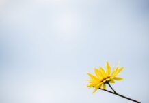 The Impact of Weather on Mental Health and Well-being The Impact of Weather on Mental Health and Well-being