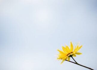 The Impact of Weather on Mental Health and Well-being The Impact of Weather on Mental Health and Well-being