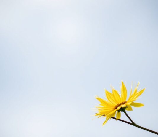 The Impact of Weather on Mental Health and Well-being The Impact of Weather on Mental Health and Well-being